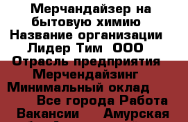 Мерчандайзер на бытовую химию › Название организации ­ Лидер Тим, ООО › Отрасль предприятия ­ Мерчендайзинг › Минимальный оклад ­ 25 000 - Все города Работа » Вакансии   . Амурская обл.,Архаринский р-н